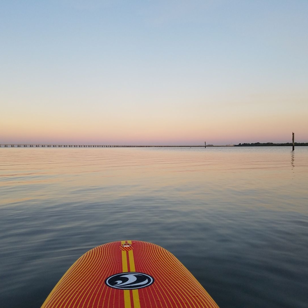 Meet your Posher, Katya